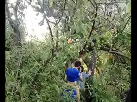 Cruising universitario chinese gay boyfriend porn