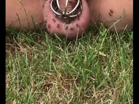 Assis dans la fourmilière integument porn gay japan